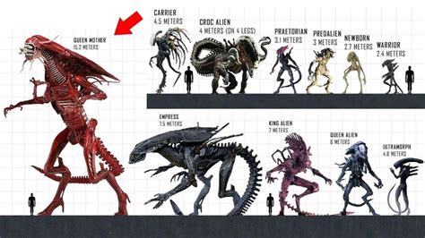 all kinds of xenomorph|xenomorph types chart.